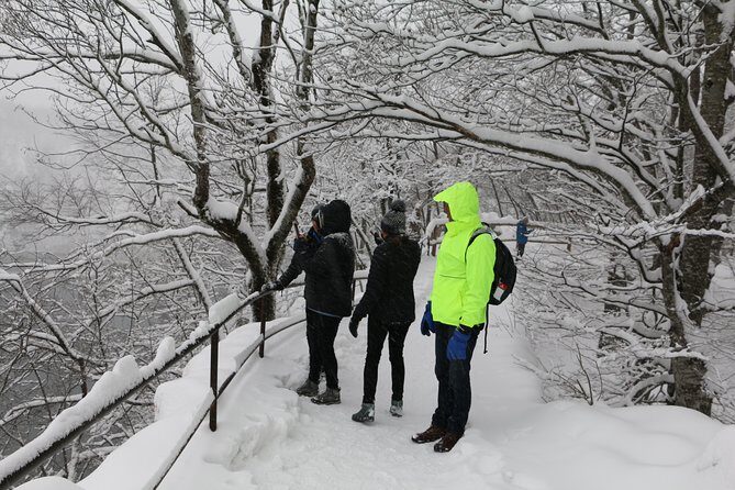 Plitvice Lakes Frozen Landscape Private Hiking Day Trip from Zagreb - Why This Tour Stands Out