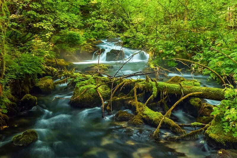 Plitvice Lakes: Guided Walking Tour with Bus and Boat Ride - Who Should Consider This Tour?