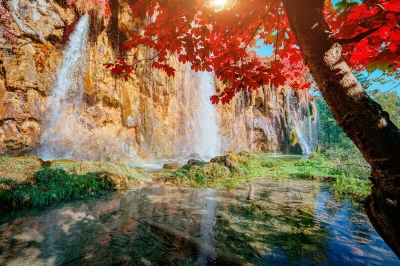 Plitvice Lakes National Park: Day Trip from Omi - What to Expect on the Tour