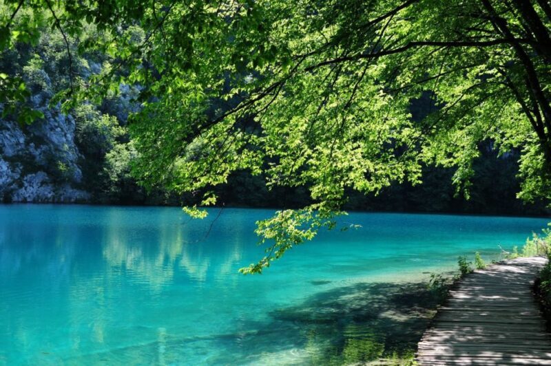 Plitvice Lakes National Park: Day Trip from Omi - Who Should Consider This Tour?