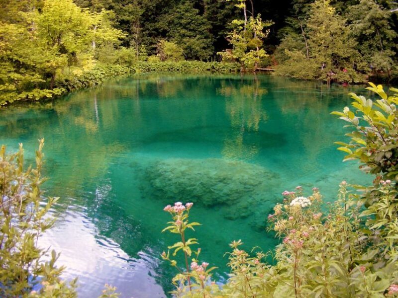 Plitvice Lakes National Park: Private Tour from Zadar - What’s Included and What to Expect