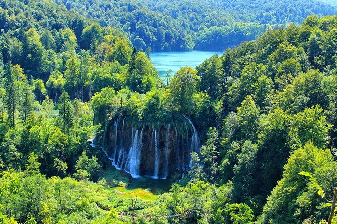 Plitvice Lakes National Park Tour from Zadar - A Deep Dive into the Experience