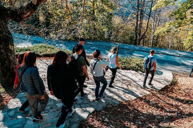 Plitvice Lakes & Rastoke small-group, w/ ticket (ENG or ESP) - The Sum Up