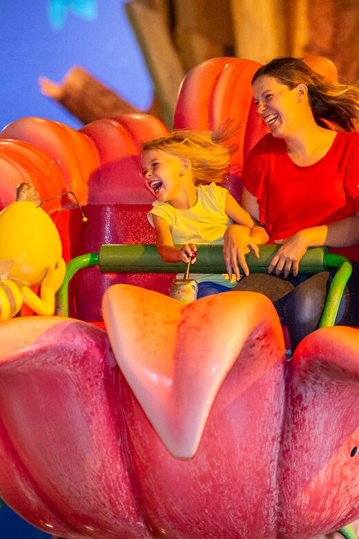 Plopsaland Belgium - Theme Park - Entry Ticket - FAQ