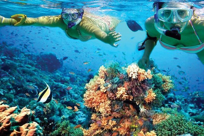 Plus Experience Isla Mujeres Tour - Why This Tour Is Worth It
