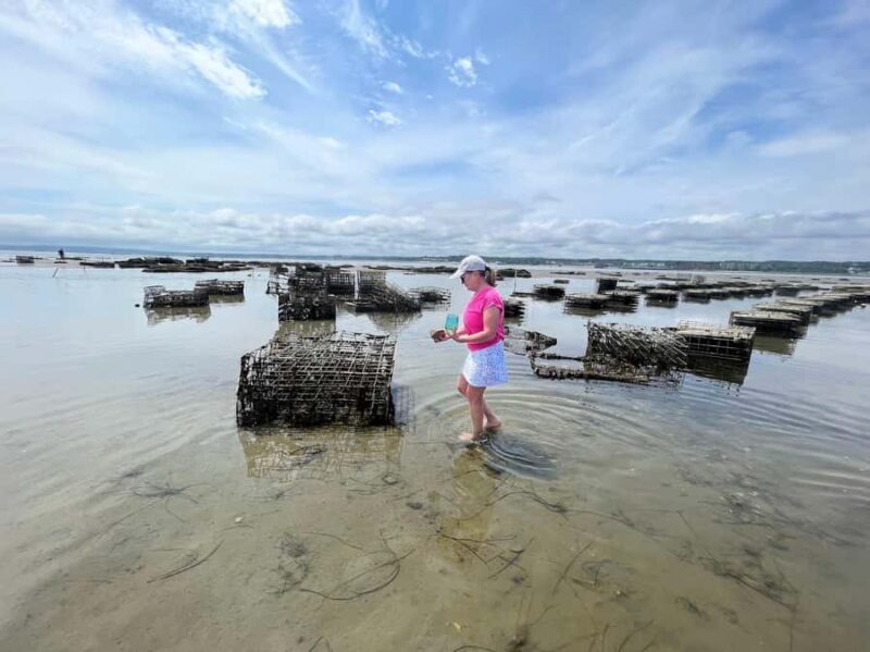 Plymouth: Oyster Farm Boat Tour with Tasting - Final Thoughts: Why You Should Do It