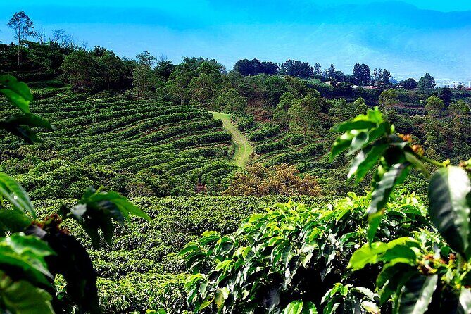 Poas Volcano + Coffee Plantations & La Paz Waterfall Gardens Trip from San Jose - Exploring the Itinerary in Detail