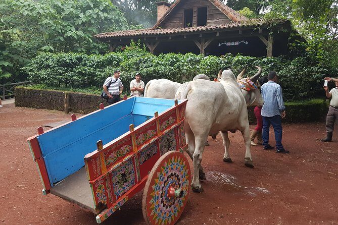 Poas Volcano & La Paz Waterfalls Gardens. Private Tour - An In-Depth Look at the Poas Volcano & La Paz Waterfalls Gardens Tour