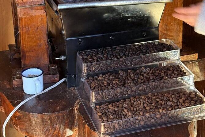 Poas Volcano National Park Tour and Bird watching in Costa Rica - Who Will Love This Tour?