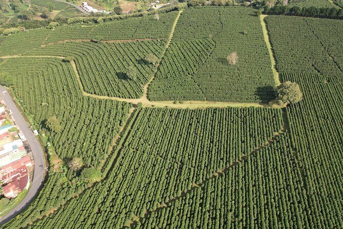 Poás Volcano with Coffee Tour from San Jose Costa Rica - A Detailed Look at the Poás Volcano with Coffee Tour
