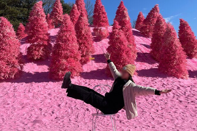 Pocheon Highlights 1 Day Tour - Pocheon Highlights 1 Day Tour: A Balanced Blend of Nature, Thrills, and Relaxation