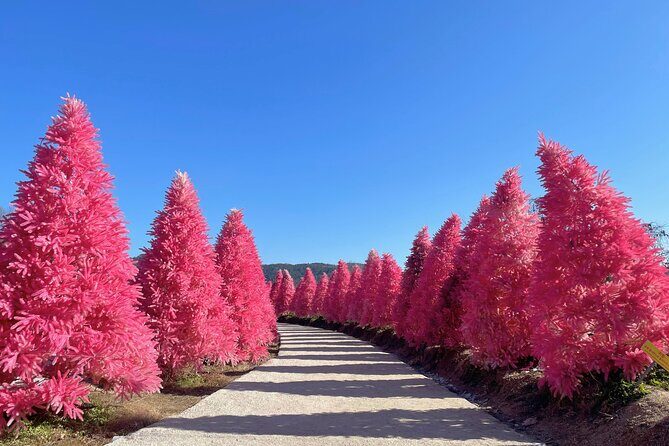 Pocheon Highlights 1 Day Tour - Key Points