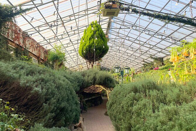 Pocheon Highlights 1 Day Tour - Who Is This Tour Best For?