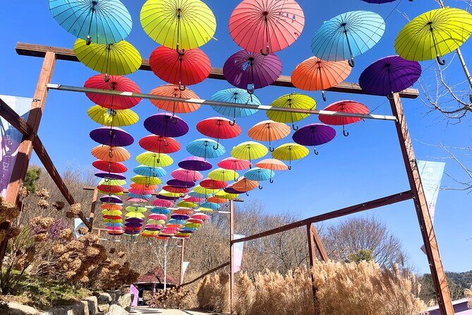 Pocheon Highlights 1 Day Tour - Final Thoughts