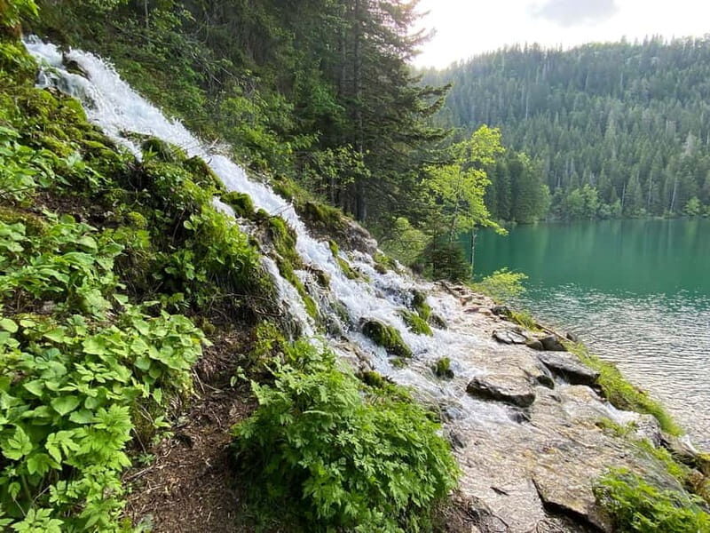 Podgorica: Durmitor National Park- Tara river, bridge & lake - Exploring Montenegros Natural Wonders: A Day Trip to Durmitor National Park, Tara River, and Black Lake