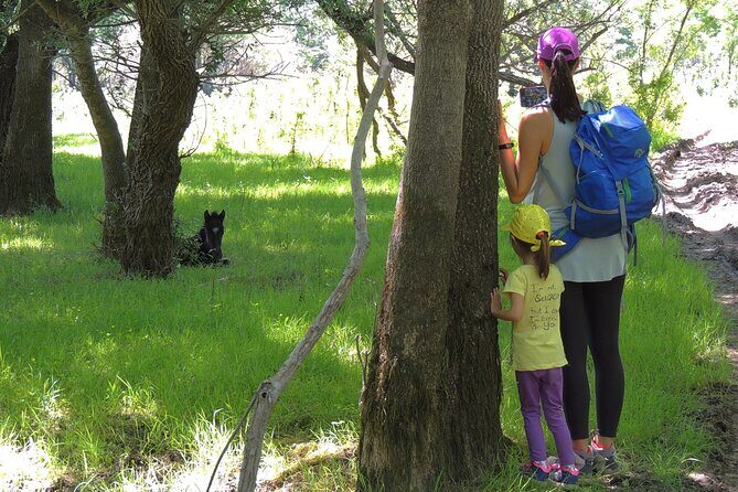 Podgorica Historic, Safari and Winery tour - Skadar lake and River Crnojevica - Key Points