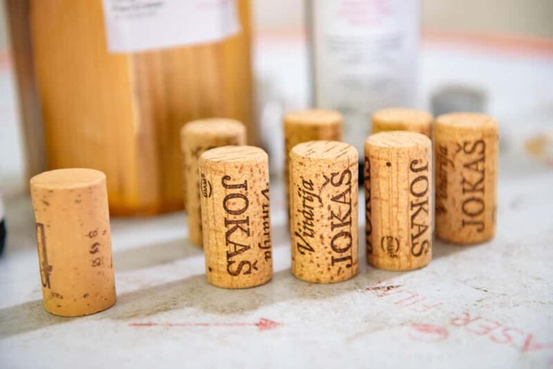Podgorica: Panoramic Wine Tasting & Snack - Podgorica: Panoramic Wine Tasting & Snack – A Deep Dive into Montenegro’s Hidden Gem