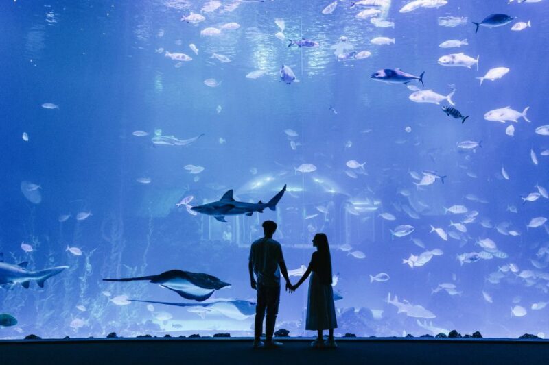 Poema del Mar Skip-the-Line Ticket - Exploring the Aquarium: What You’ll See and Experience