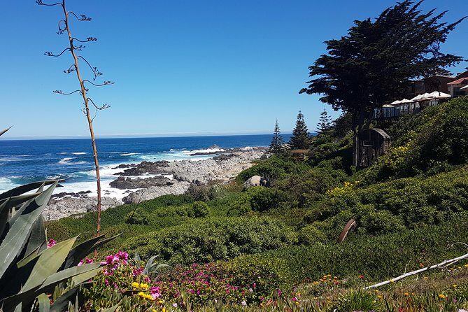 Poetry and Wines: Isla Negra and Undurraga vineyard - Who Will Love This Tour?