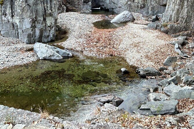 Pohang And Gyeongju Hiking And Makgeolli Brewing - Why You Should Consider This Tour