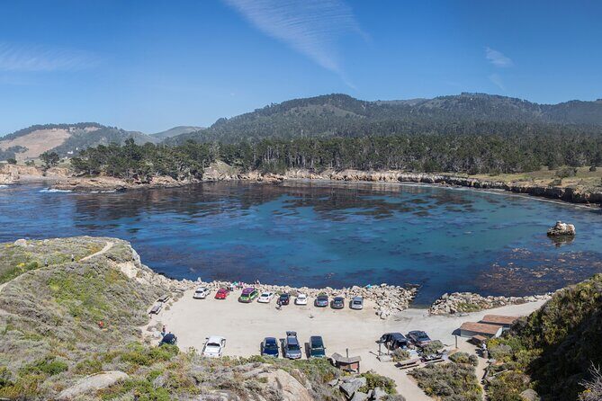 Point Lobos - A Private Charming Ocean Tour - A Deep Dive Into the Experience