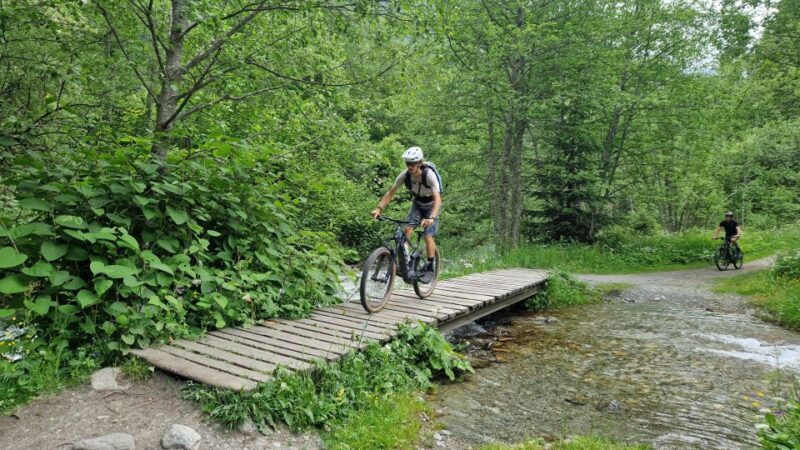 Point of view on the glaciers of Chamonix by ebike - The Sum Up