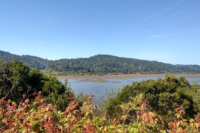 Point Reyes National Seashore Self Guided Driving Audio Tour - Who Will Love This Tour