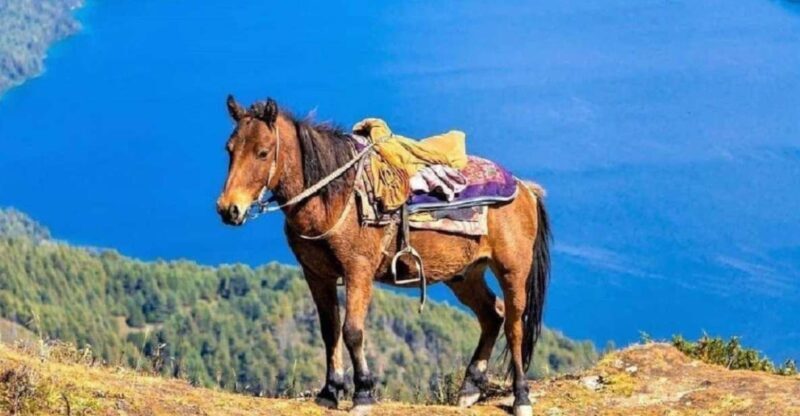 Pokhara: 1-Hour Horseback Ride with Hotel Pickup - Key Points