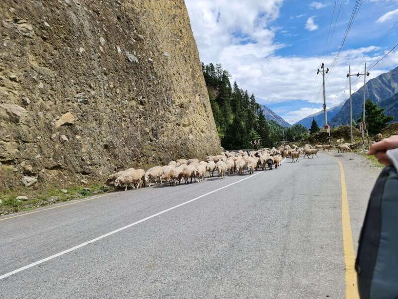 Pokhara: 14 Days Upper Mustang Trek - Value and Pricing