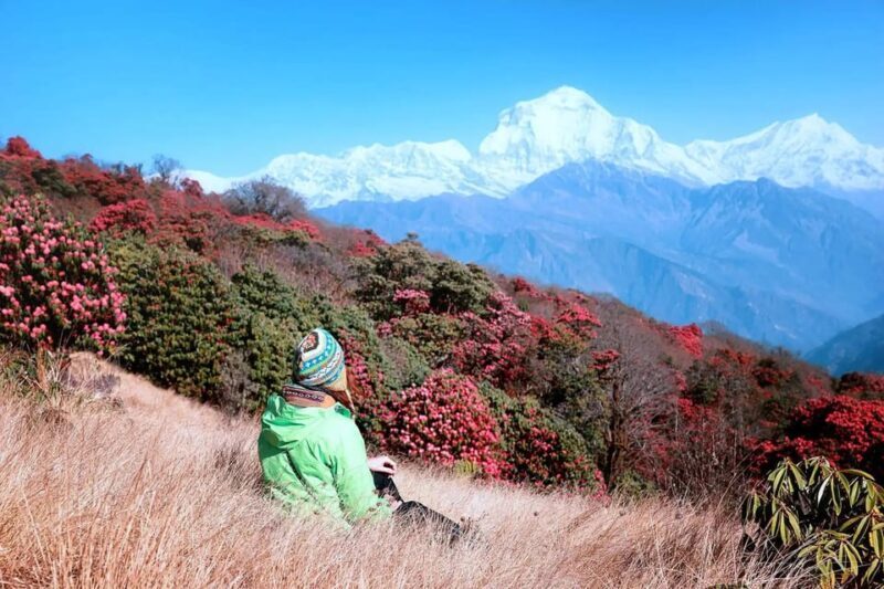 Pokhara: 2 Day Ghorepani & Poon Hill Trek with Sunrise Views - Key Points