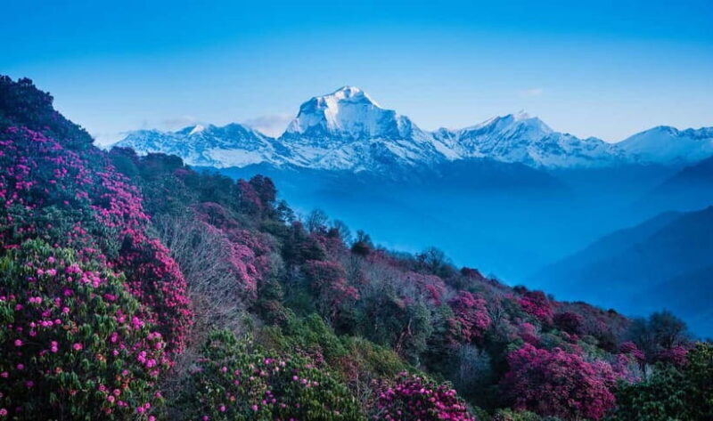 Pokhara: 2-Days Beautiful Poon Hill Trek with Sunrise View - FAQ