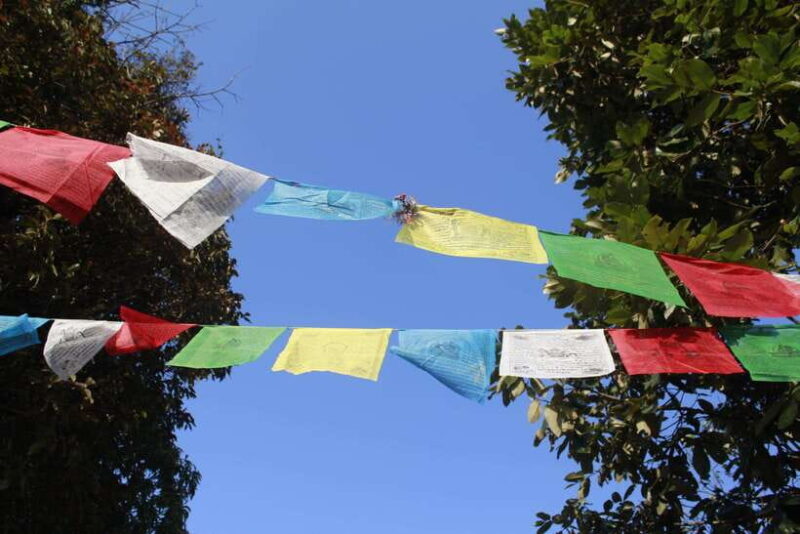 Pokhara: 3-Day Astam, Dhampus, and Australian Camp Trek - The Sum Up