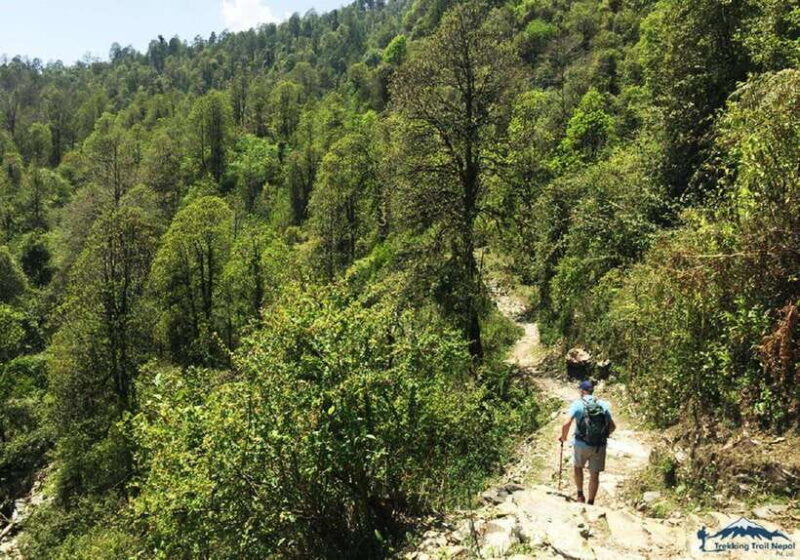 Pokhara: 3-Day Hike Tour To Annapurna Himalayas Foothill - What Travelers Say