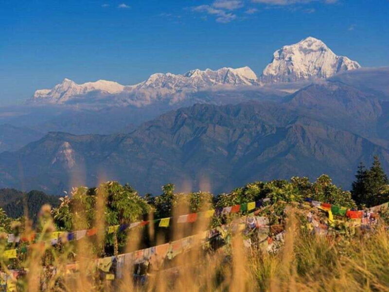 Pokhara: 3-Day Poon Hill Trek with Sunrise View - Day 1: Pokhara to Tikhedhunga – The Journey Begins