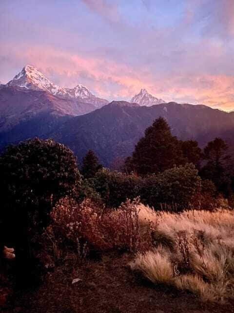 Pokhara: 3-Day Poon Hill Trek with Sunrise View - Accommodation and Meals