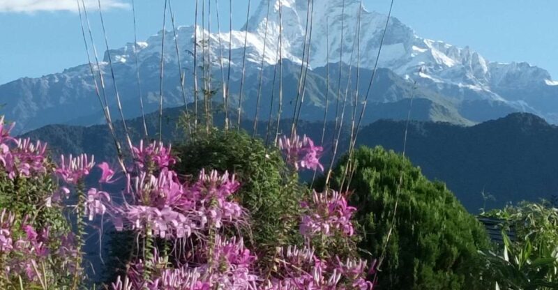 Pokhara: 3-Day Trek - Pokhara: 3-Day Trek – A Friendly Introduction to the Himalayas