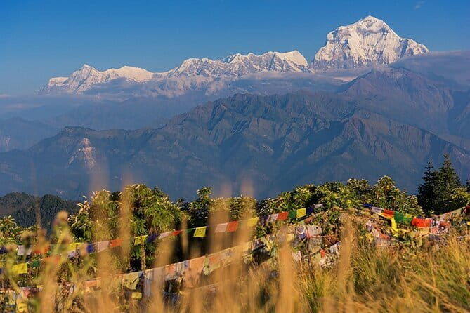Pokhara 3 Days Ghorepani and Poon Hill Private Trek via Ghandruk - Why This Trek Offers Great Value