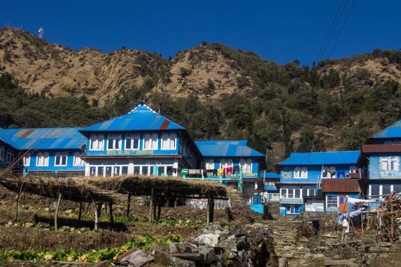 Pokhara: 3 Days Ghorepani poon hill trek - What Travelers Say