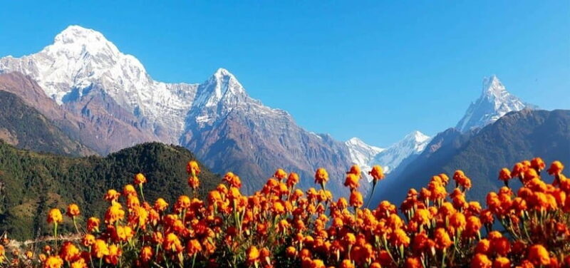 Pokhara: 4-Day Ghorepani, Poonhill & Ghandruk Mountain Trek - Key Points