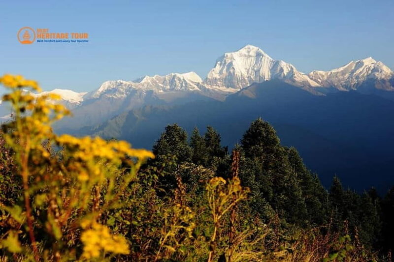Pokhara: 4-Day Ghorepani Poonhill Short Trek - Who Is This Trek Best For?