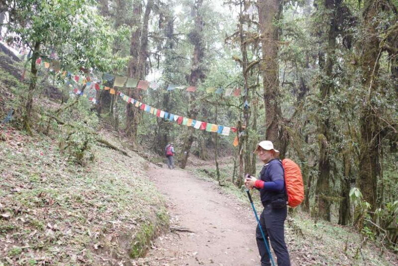 Pokhara: 4-Day Mardi Himal Base Camp Trek with Transfers - FAQs