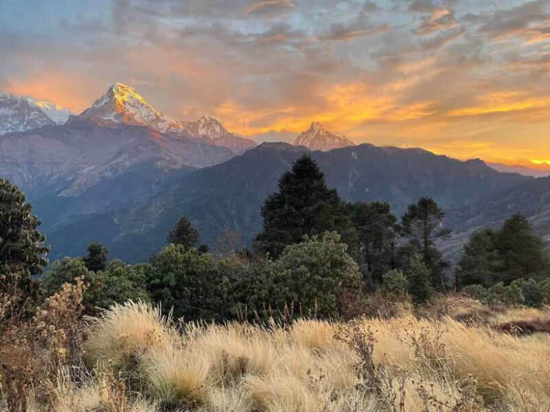 Pokhara: 4-Day Poon Hill and Ghandruk Guided Trek - A Deep Dive into the 4-Day Trek Experience