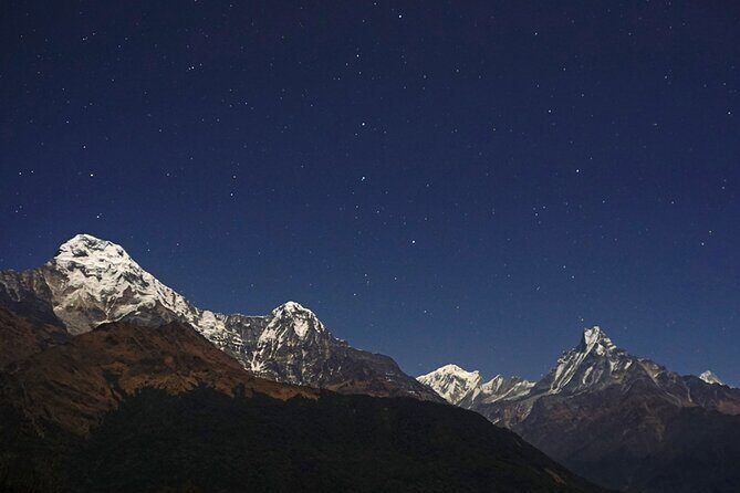 Pokhara: 4 Day Poon Hill Trek - What Travelers Say