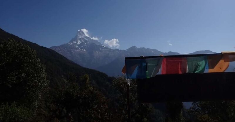 Pokhara: 5-Day Mardi Himal Base Camp Trek with Transfers - Pokhara: 5-Day Mardi Himal Base Camp Trek with Transfers – A Detailed Review
