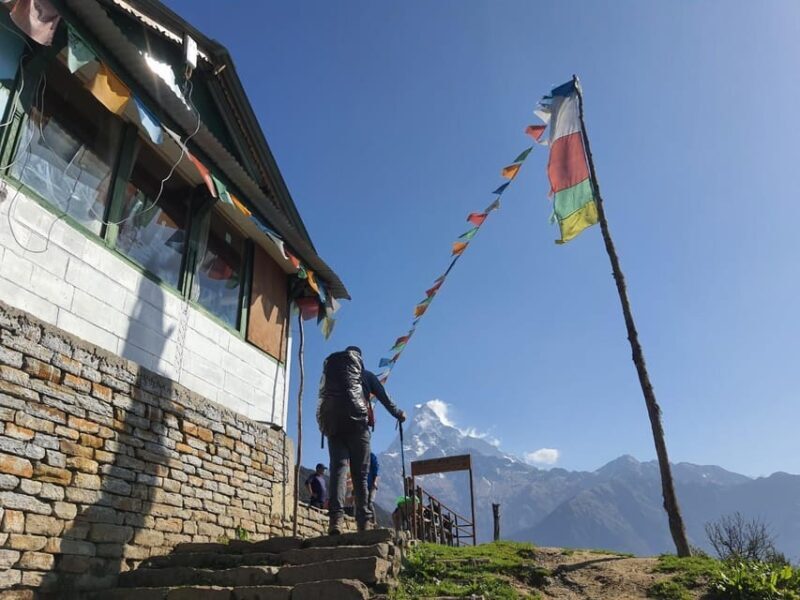 Pokhara: 5-Day Mardi Himal Base Camp Trek with Transfers - What Makes This Trek Stand Out