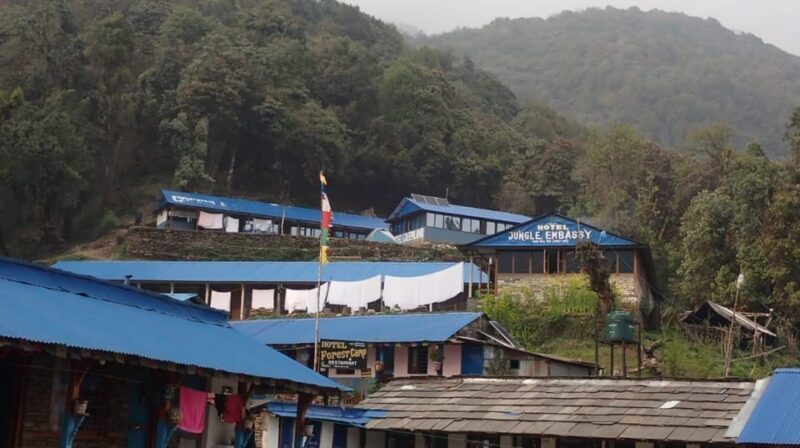 Pokhara: 5-Day Mardi Himal Base Camp Trek with Transfers - Potential Drawbacks and Considerations