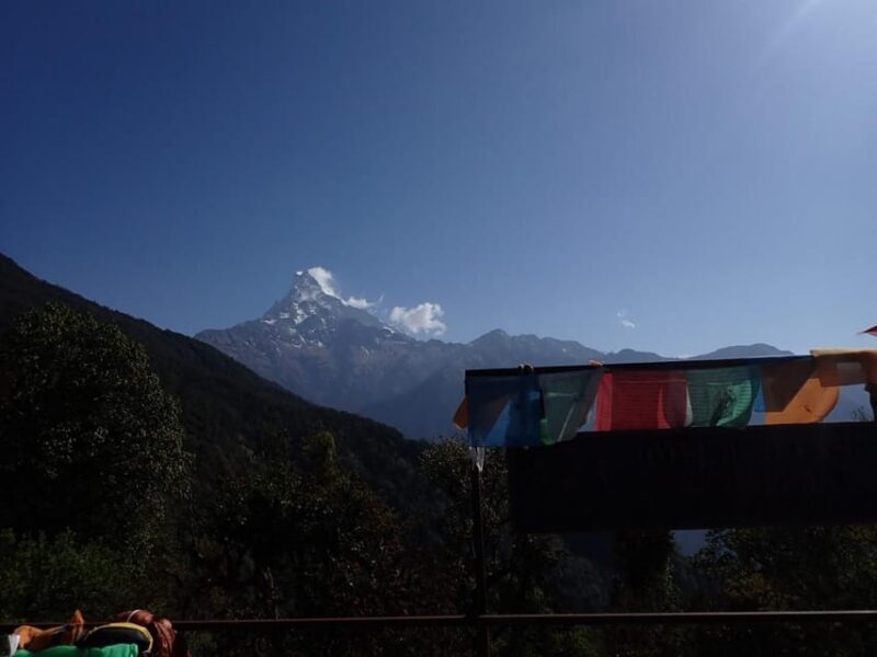 Pokhara: 5-Day Mardi Himal Base Camp Trek with Transfers - Who Is This Tour Best For?