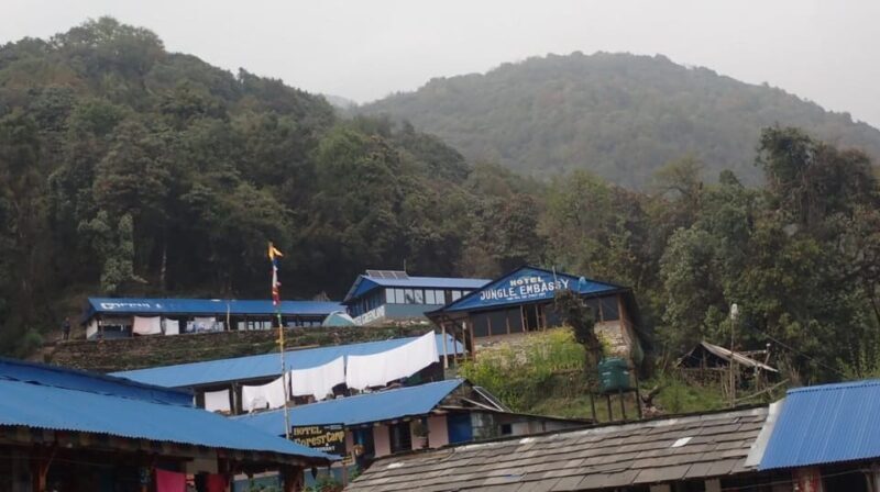 Pokhara: 5-Day Mardi Himal Base Camp Trek with Transfers - FAQ