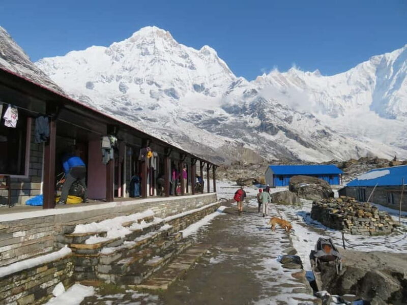 Pokhara: 5-Days Annapurna Base Camp Trek Guided Adventure - Pokhara: 5-Days Annapurna Base Camp Trek Guided Adventure