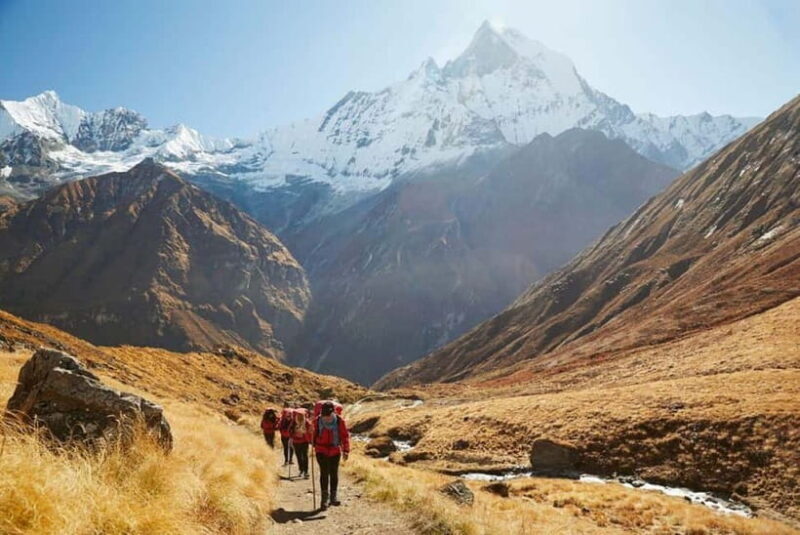 Pokhara: 5-Days Annapurna Base Camp Trek Guided Adventure - FAQ